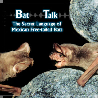 bat_talk_dvd.jpg